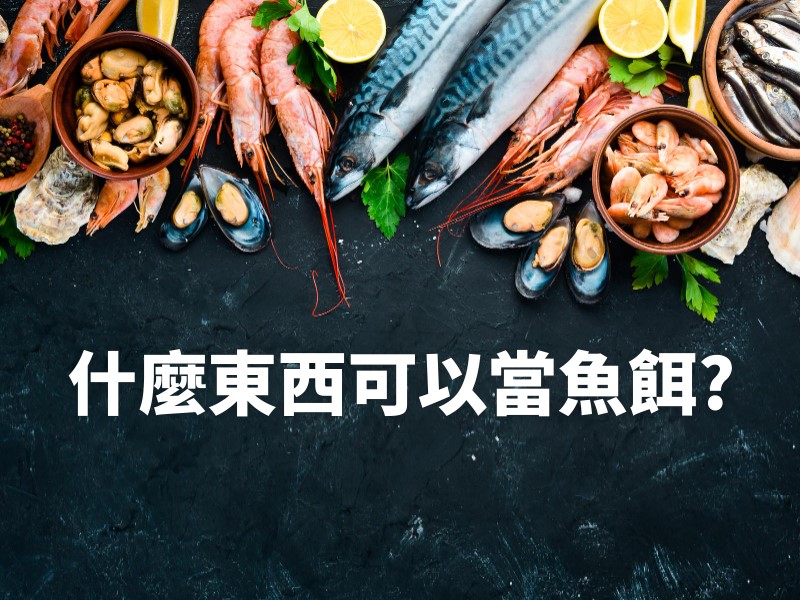 什麼東西可以當魚餌?