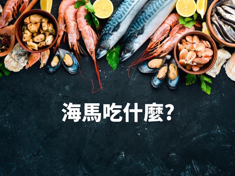 海馬吃什麼?